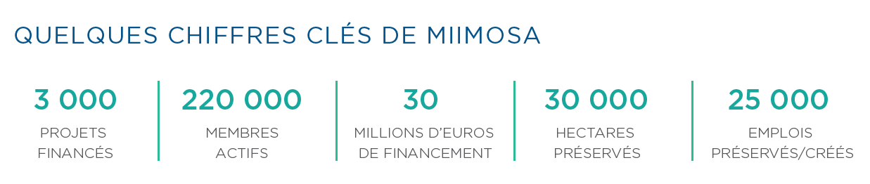 chiffres clés miimosa